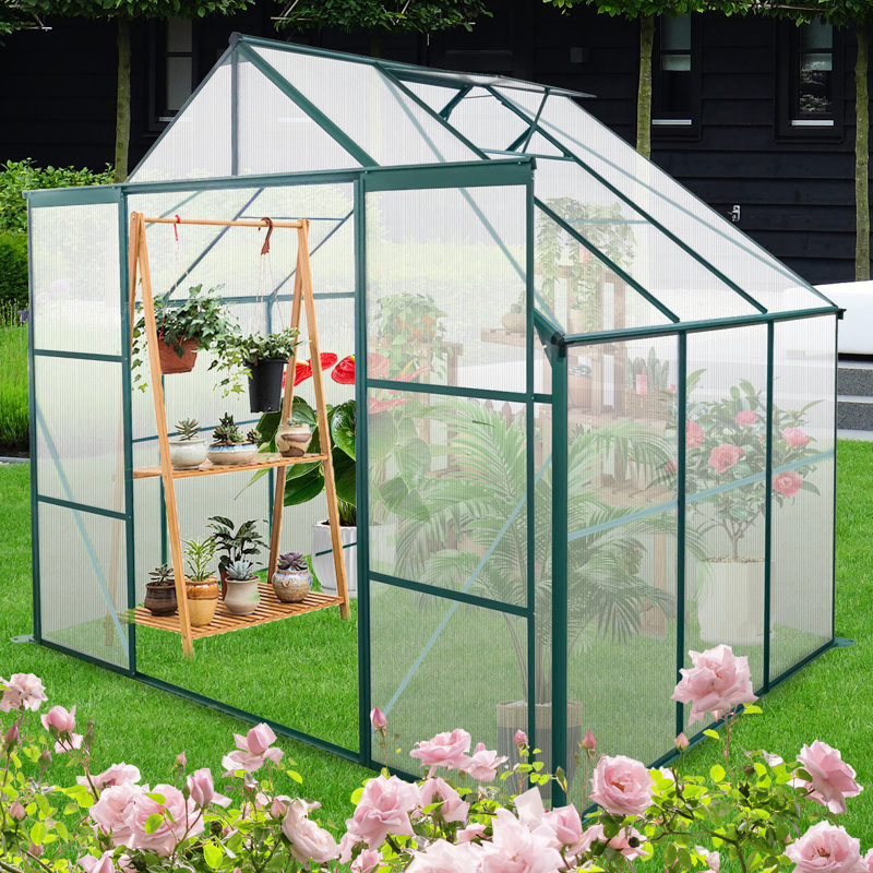 Serre en polycarbonate de 8 pi x 6 pi avec cadre stable - pour une utilisation extérieure toutes saisons et base idéale pour le jardinage