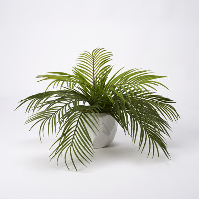 Palmier en céramique Kathie Hawaiian