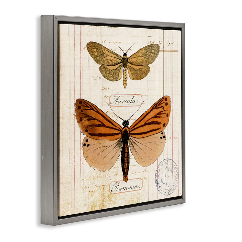  Art mural sur toile flottante, "Butterfly" par Susan Arnot, Cadre flottant gris lustré, H 18 po x l 18 po