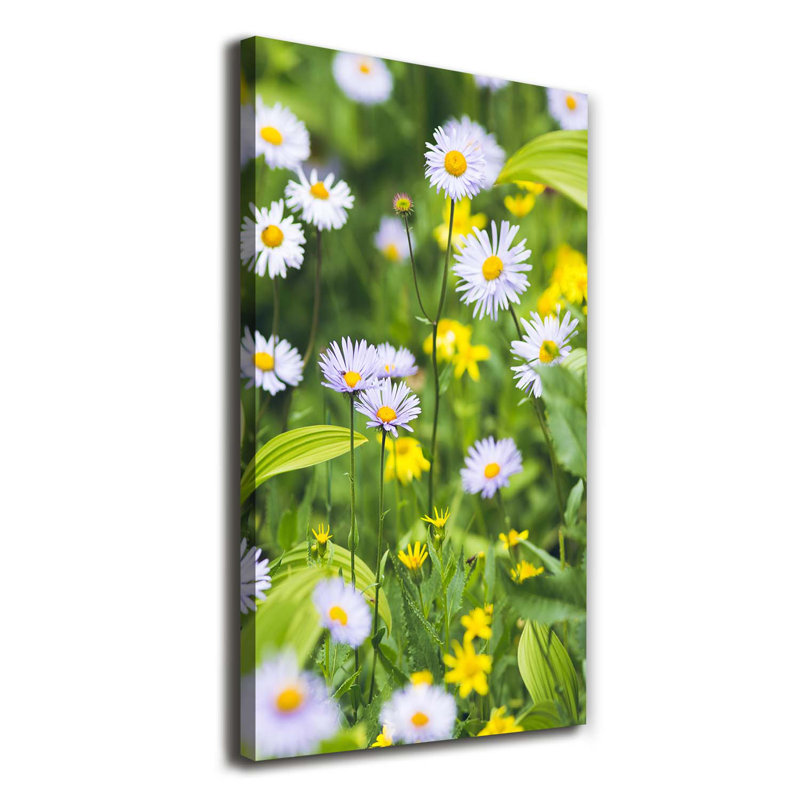 Colourful Balloons - Wrapped Canvas Print
