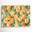 Fruit, abricot brun, art mural sur toile-1926325144