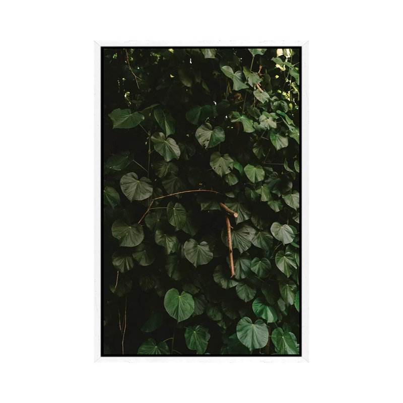 Tropical Hawaii III by Bethany Young - Print on Canvas, 66.04cm H x 45.72cm W x 3.81cm D, White Framed