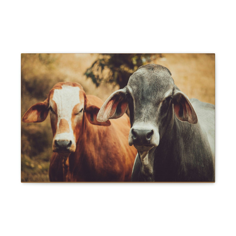 No Frame Print on Canvas, 30.48cm H x 45.72cm W