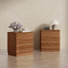 Minimalist Textured Curved Profile 2-drawer Nightstand (set Of 2)