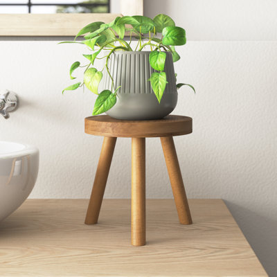 Abraam Solid Wood Plant Stand 1 Tier