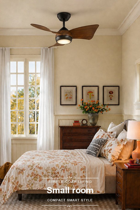 Small Room Ceiling Fan