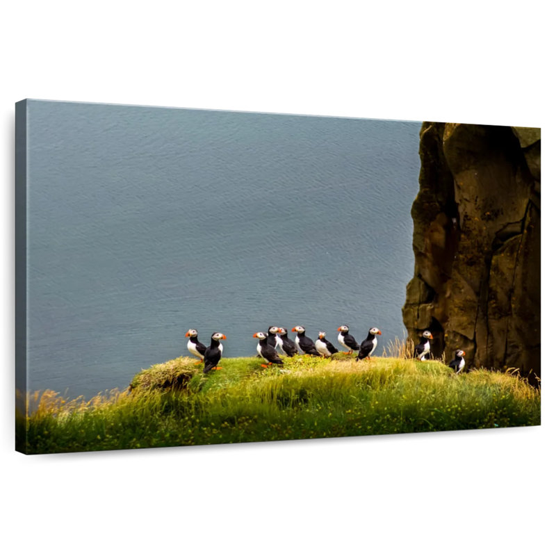 Crowle Cliff Puffin Birds, 26" H x 39" W