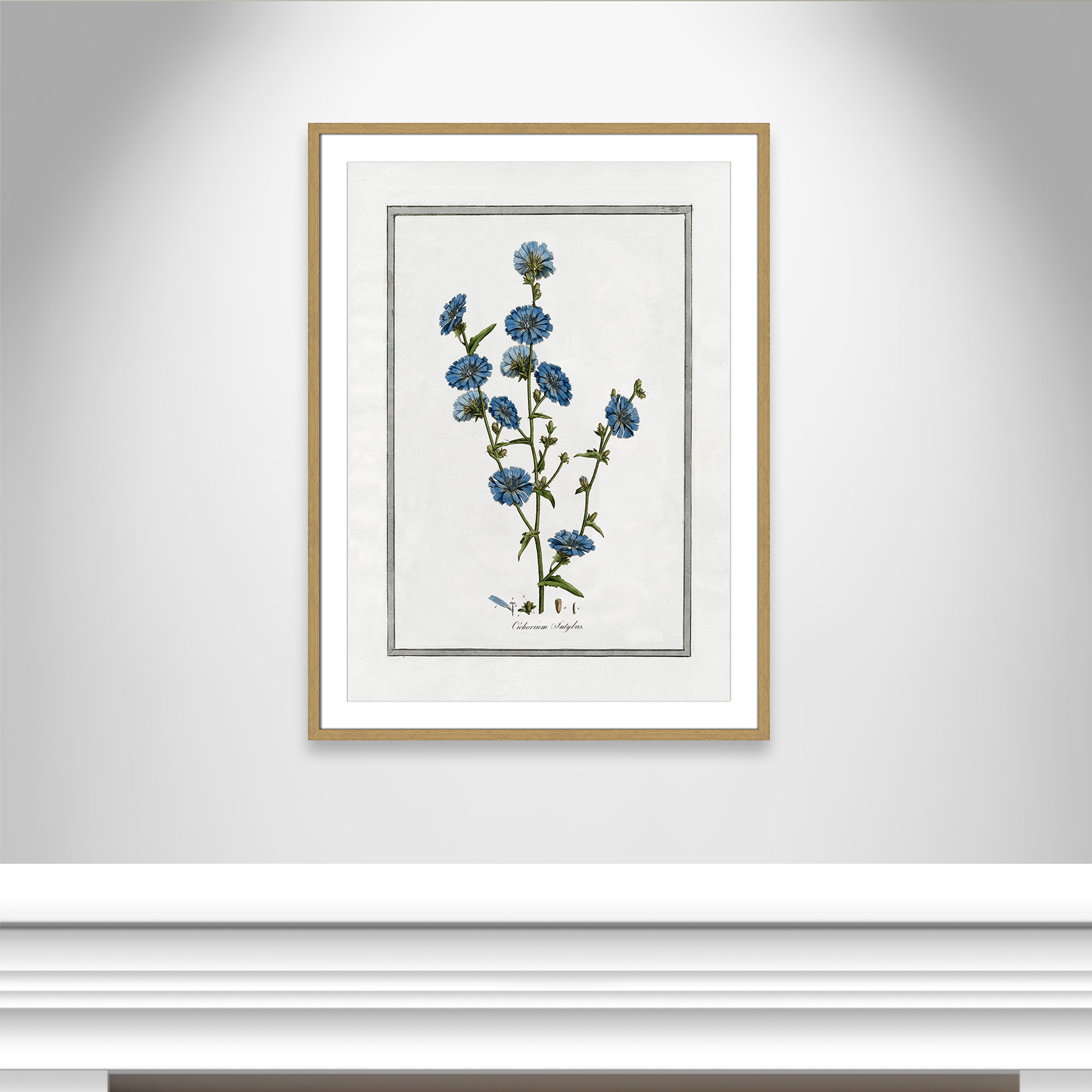 Soft Botanical I - Framed Art Full Bleed, Natural Framed, 25.5" W x 35.5" H