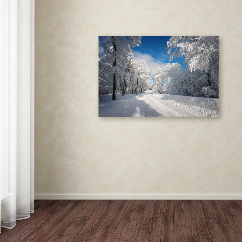 Modern & Contemporary, 30" H x 47" W x 2" D