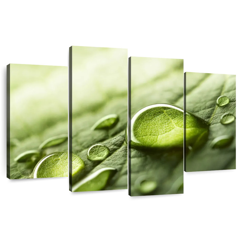 Dewdrops On Green Leaf, H 22 po x l 36 po