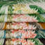 Mindoro Caluya Print Fabric-1786715503
