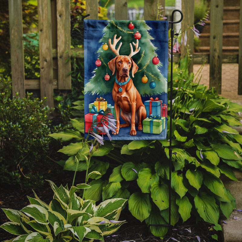Drapeau de Noël renne de jardin, Braque hongrois à poil court