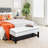 44" Tufted Faux Leather Ottoman Storage Bench With Shoe R...
