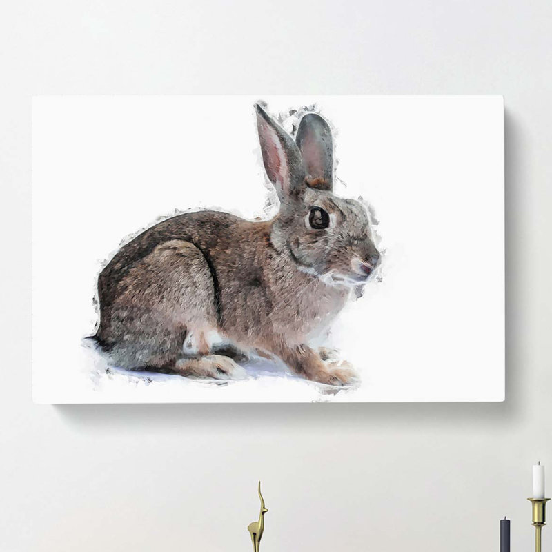 Brown Bunny Rabbit in Abstract - Wrapped Canvas, 35cm H x 50cm W x 3cm D