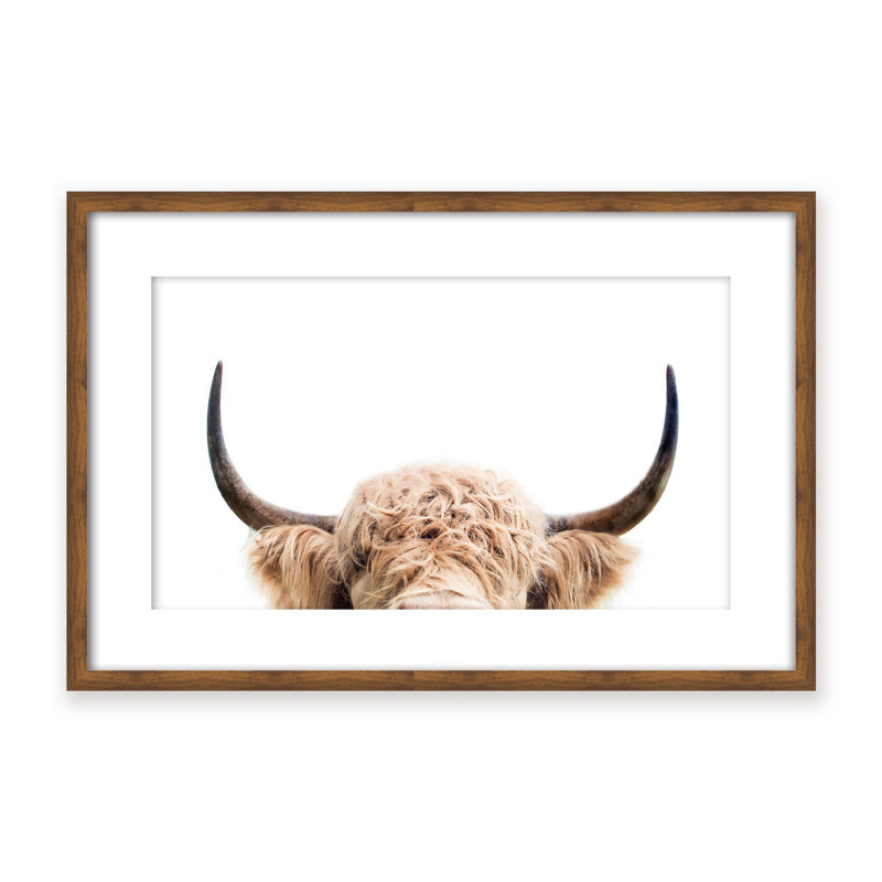 Nature Inspired Peeking Cow by  - Picture Frame Photograph on Paper, 24" H x 36" W x 1.125" D, Black, Framed Print