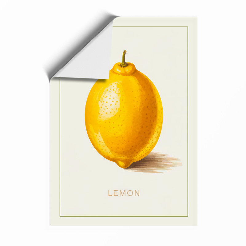 Single Lemon Study Botanical - Framed Print, A2 - 59.4 x 42.0 cm, Unframed