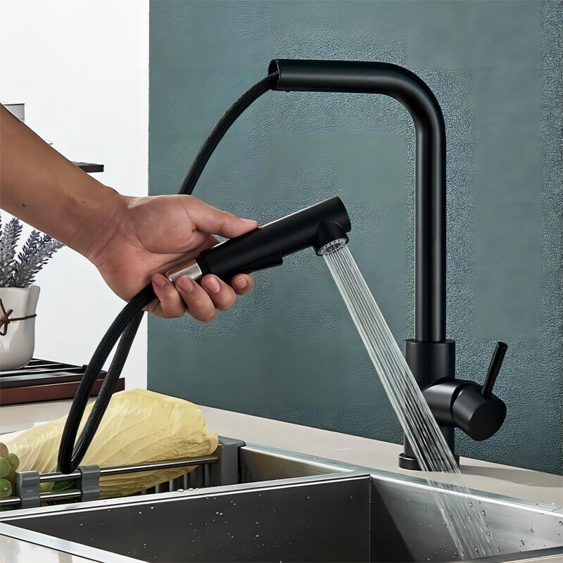 Belfry Kitchen Ansel Pull Out Kitchen Faucet