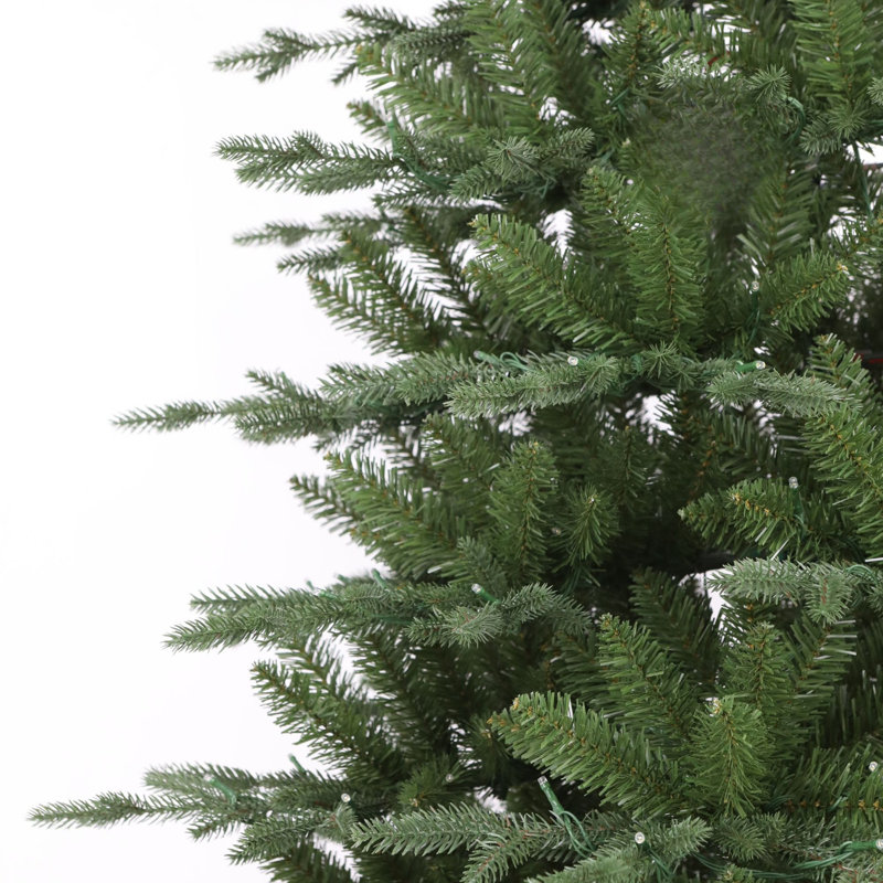 Sapin de Fraser Jasper Elite avec DEL