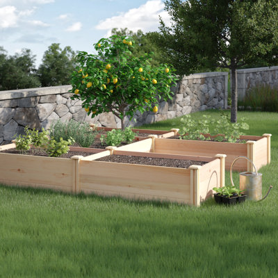 Lit de jardin surélevé en cèdre de qualité supérieure 8 pi. X 8 pi X 16,5 po