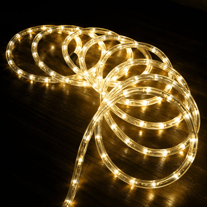 Les lumières de corde électrique The Holiday Aisle, 10 pi, Blanc chaud