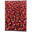 Tapis bourgogne Oliveri