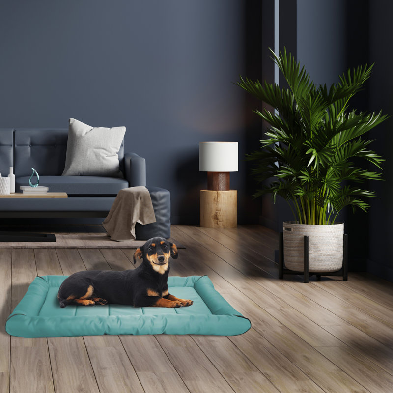 Tapis de caisse Fuffe, Très petit (l 24 po x P 18 po x H 2,5 po), Turquoise