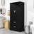 Matte Black is out of stock selected