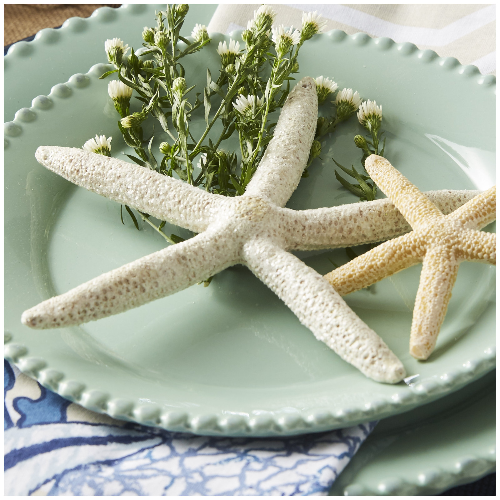 Frosted Starfish Holiday Shaped Ornament