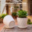 Plant Stand
