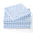 Gingham Blue