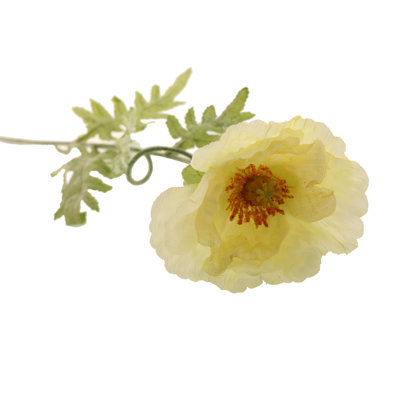 Faux Silk Poppy Arrangement