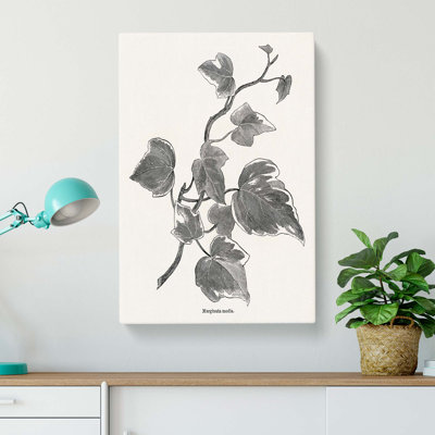 Ivy Marginata Media by Shirley Hibberd - Wrapped Canvas
