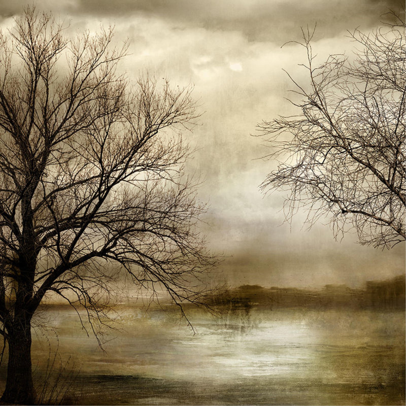 Fall Views II Print by Austin Beiv, Plexi, 30" H x 30" W