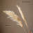 Natural Reed Stem 10 Stem Set 51" Tall