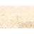 Sienna Tan Rug 5'0" x 8'2"