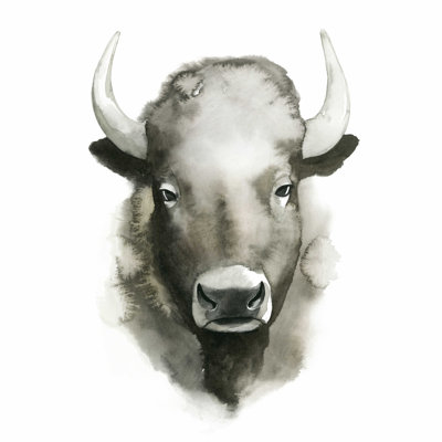 Aquarelle Buffalo