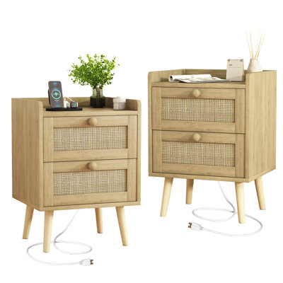 Machele Set of 2 Rattan Nightstands w/USB Hub, 15.9"W 2-Drawer Bedside Tables for Bedroom & Office by George Oliver