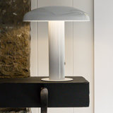 Writzer 11" Contemporary Bohemian Rechargeable/Cordless Dimmable Integrated LED Mushroom Table Lamp