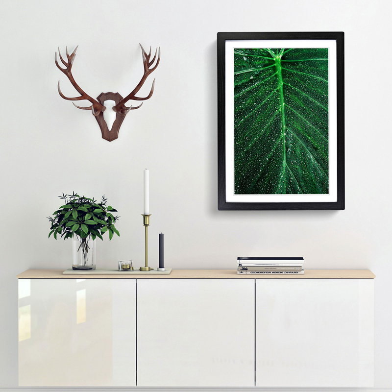 Dewdrops upon a Green Leaf in Abstract - Picture Frame Graphic Art Print, 65cm H x 48cm W x 2cm D, Black Framed