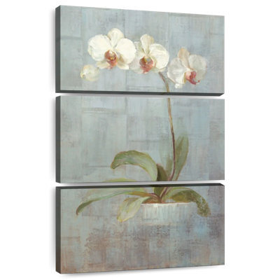 Orchidée élégante Harnek