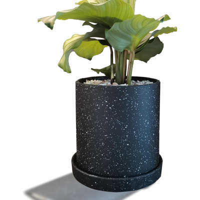 6" Ceramic Plant Pot With Drainage & Saucer