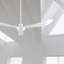 Ventilateur de plafond 12" tige-22088486-10319182