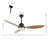 Clarra 52'' Ceiling Fan with LED Lights-1890635353