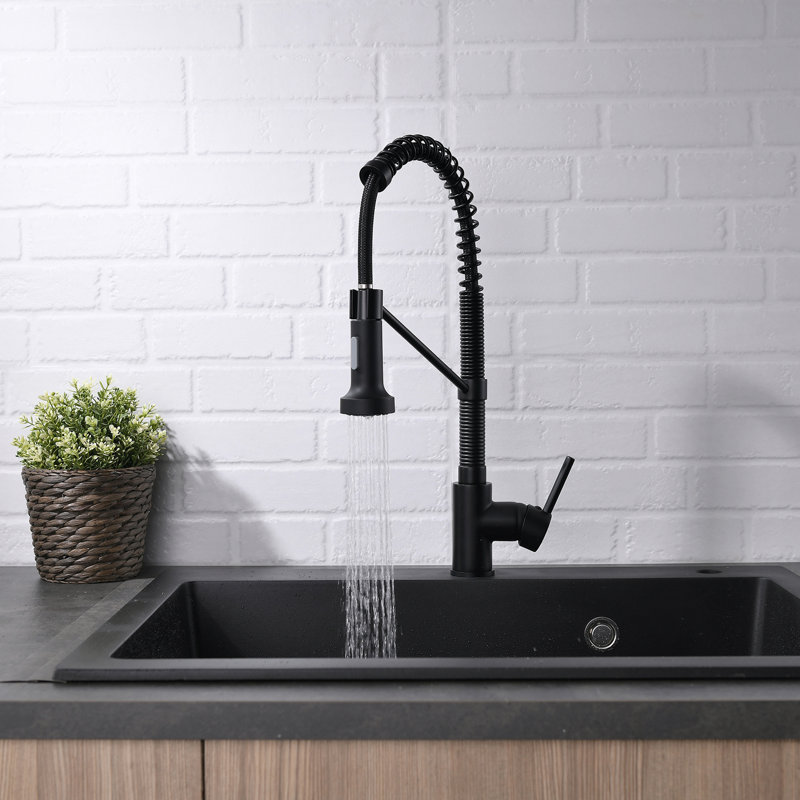 Pull Down Single Handle Kitchen Faucet with Accessories, Black