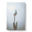 Solitary White Tulip In Abstract - Wrapped Canvas-55339027
