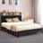 Naumann Upholstered Bookcase Storage Bed-930087539-932650335