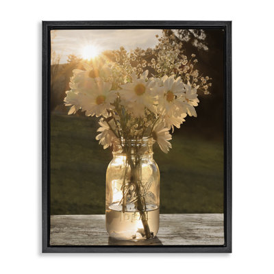 Marguerites chaudes dans un pot