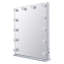 Audrinah Flat Floor Mirror