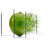 Yarlin Splash Of Lime