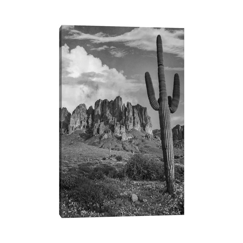 Saguaro and The Superstition Mountains, Lost Dutchman State Park, Arizona 1 Piece Wrapped Canvas Wall Art